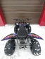 Квадроцикл PROMAX RAPTOR 300 NEW