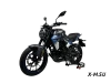 Мотоцикл TMBK MONTANA 250 (165 FMM)