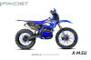 Кроссовый мотоцикл FAIDET BERNA PR300 FPS