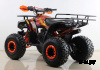 Квадроцикл SSSR Master