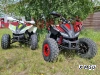 Квадроцикл PROMAX SPORT - PRO 180 (2024)