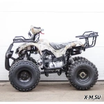 Квадроцикл STALKER 125 Fox