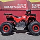Квадроцикл PROMAX WILD 175 BASIC