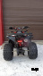 Квадроцикл PROMAX SPORT - PRO 180 (2024)