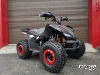Квадроцикл PROMAX SPORT - PRO 180 (2024)
