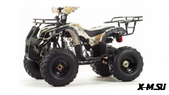 Квадроцикл MOTOLAND (МОТОЛЕНД) 125 FOX A