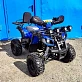 Квадроцикл Grizzly 110